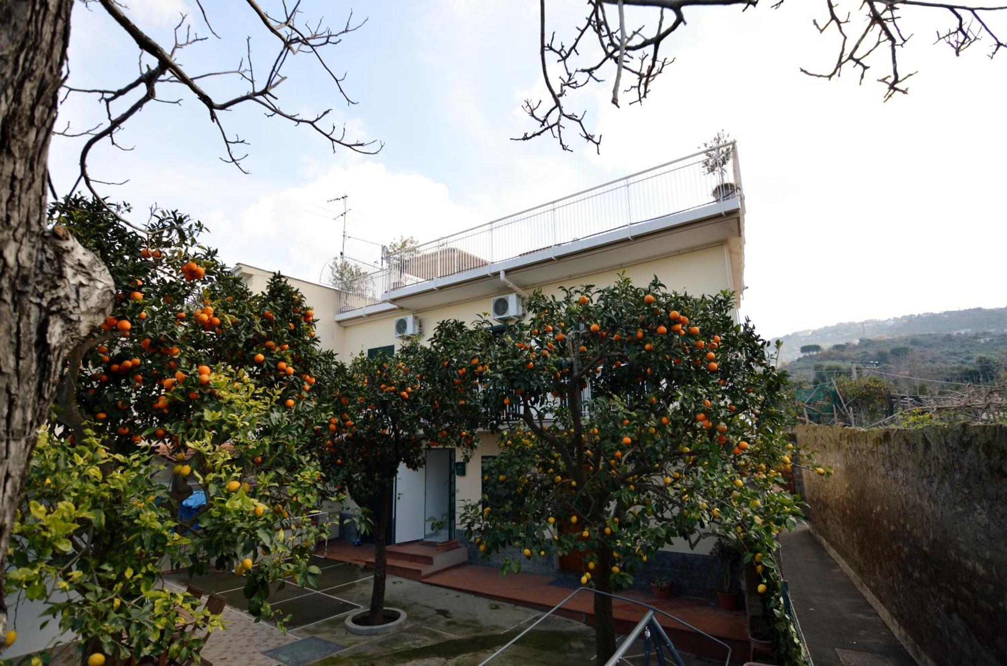 La Terrazza Family Holidays Sant'Agnello Exterior foto